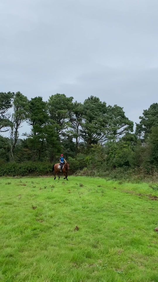 TikTok video thumbnail by pikethecoblet