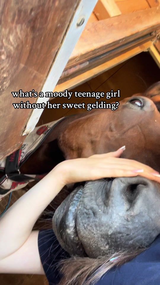 TikTok video thumbnail by abbs.n.belle.x
