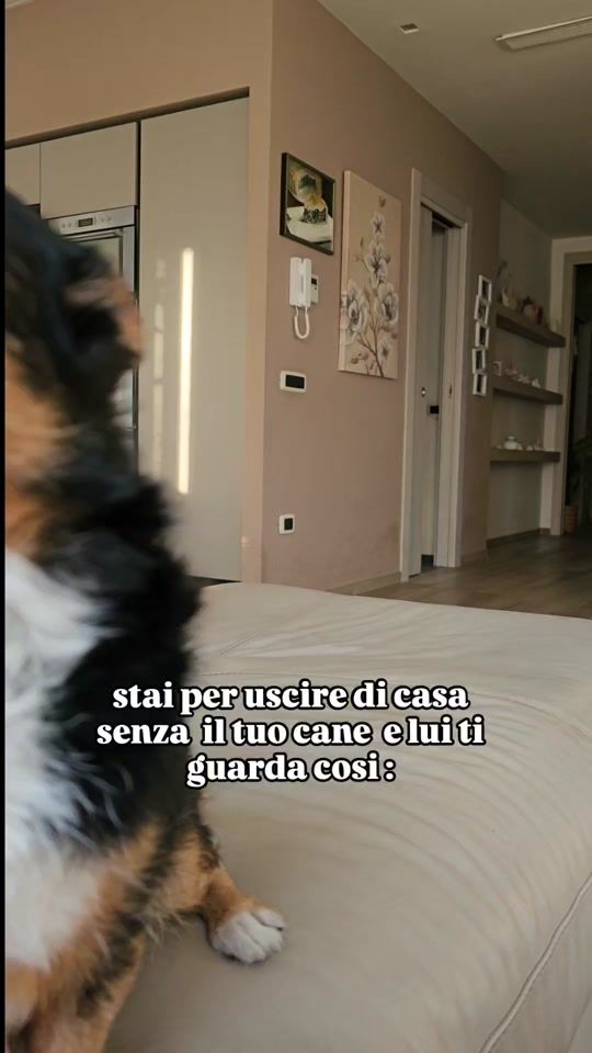 TikTok video thumbnail by wendyemasha