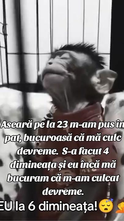 TikTok video thumbnail by florentinafloresc20