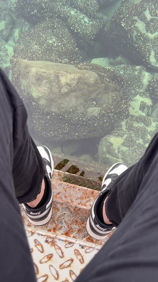 TikTok video thumbnail by flobane4