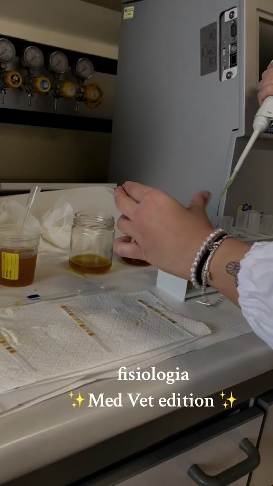 TikTok video thumbnail by ema_vetstudent
