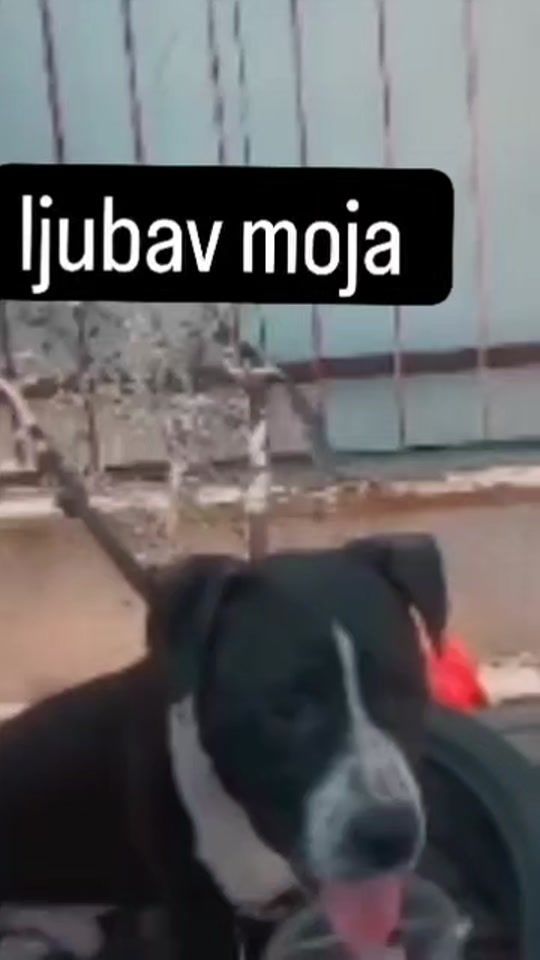 TikTok video thumbnail by anitazairovic999
