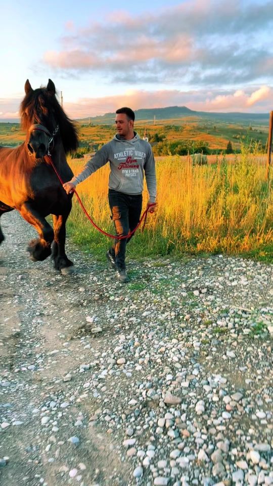 TikTok video thumbnail by kerestelyjoco