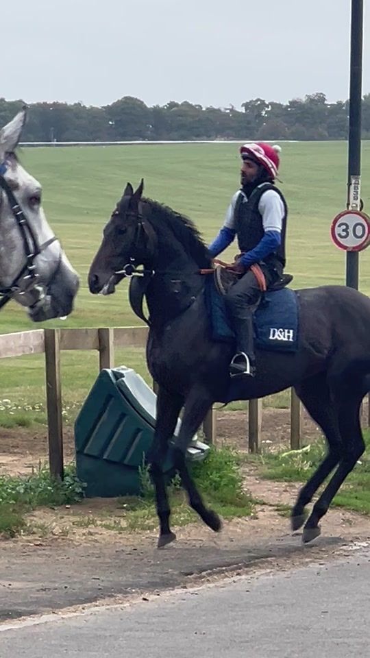 TikTok video thumbnail by the.health.obsessi