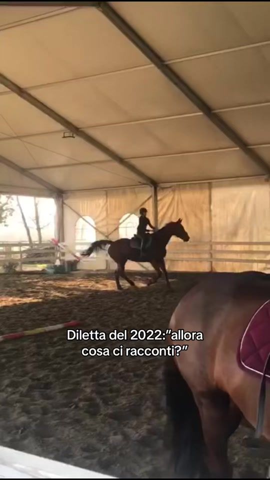 TikTok video thumbnail by diletta_marchioro