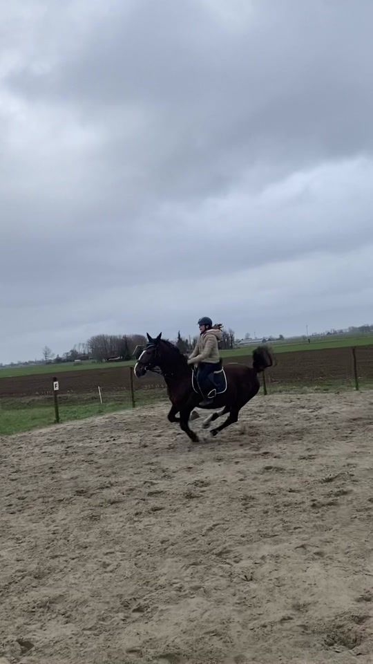 TikTok video thumbnail by equine.fmkx