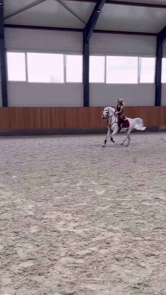 TikTok video thumbnail by horseedits922