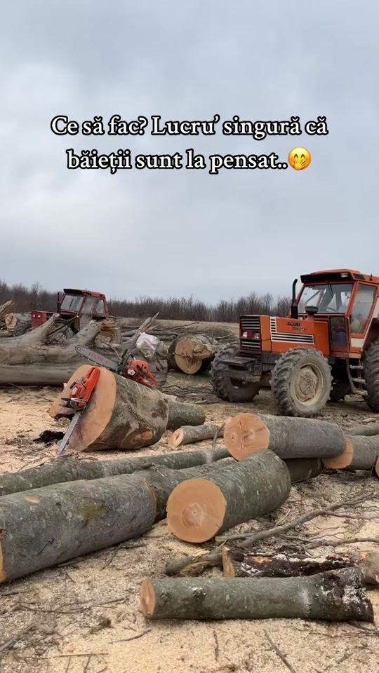 TikTok video thumbnail by macri_sabau