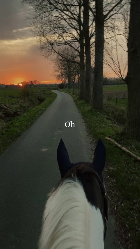 TikTok video thumbnail by _.decoco._