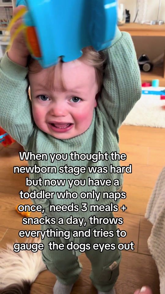 TikTok video thumbnail by corneylaura