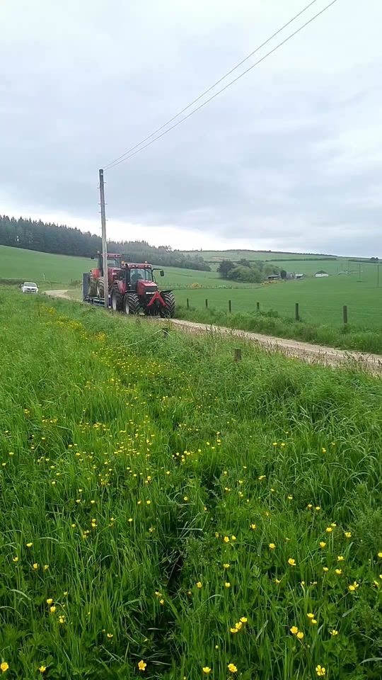 TikTok video thumbnail by massey_mark_sievewright