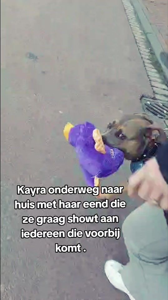 TikTok video thumbnail by redrumkayra