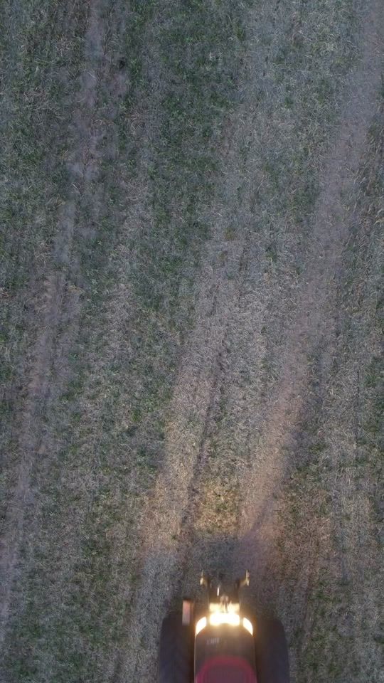 TikTok video thumbnail by danielonea2