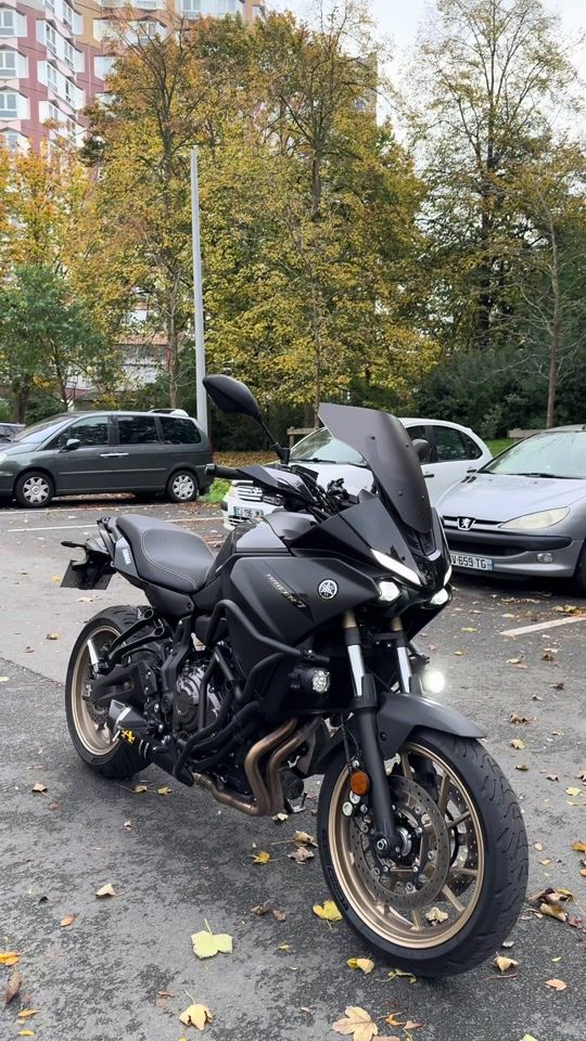 TikTok video thumbnail by camoox93