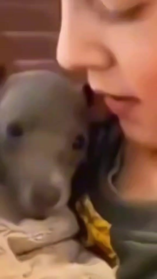 TikTok video thumbnail by pummelelfee