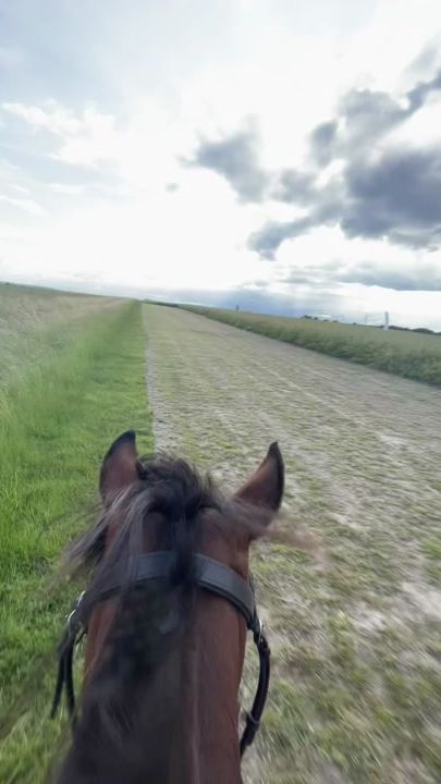 TikTok video thumbnail by frida_und_hamy