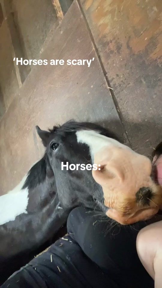 TikTok video thumbnail by abbyrobinn