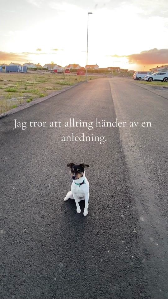 TikTok video thumbnail by michellebengtssonn