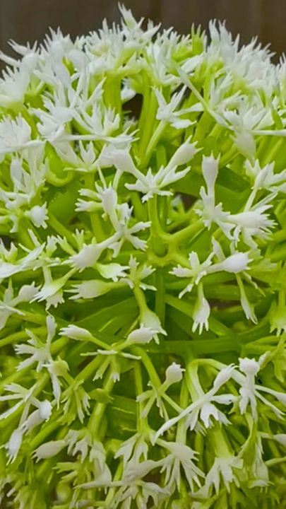 TikTok video thumbnail by cha2ourmazen