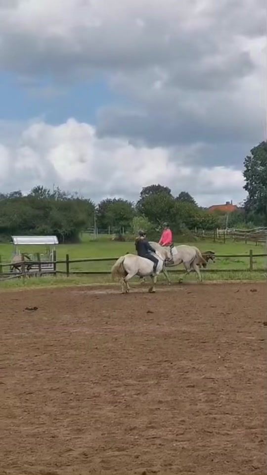 TikTok video thumbnail by die._.naeve