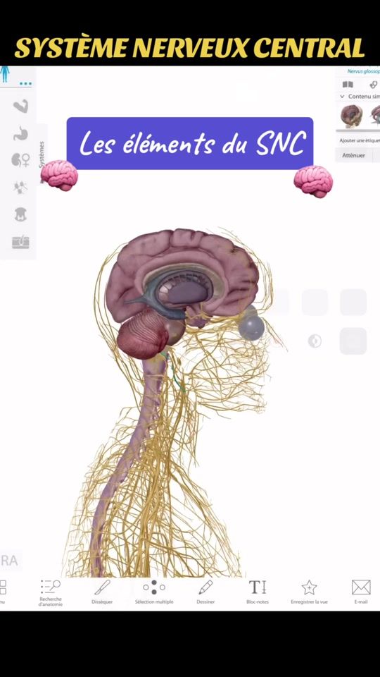 TikTok video thumbnail by biogenie0