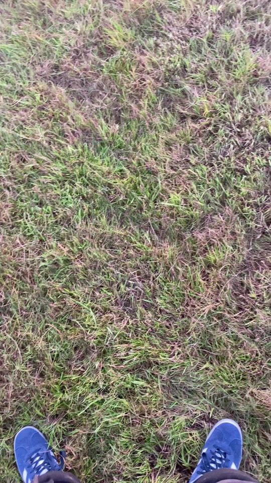 TikTok video thumbnail by pearse.marlow