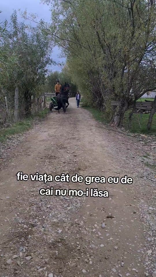 TikTok video thumbnail by beteanalessya