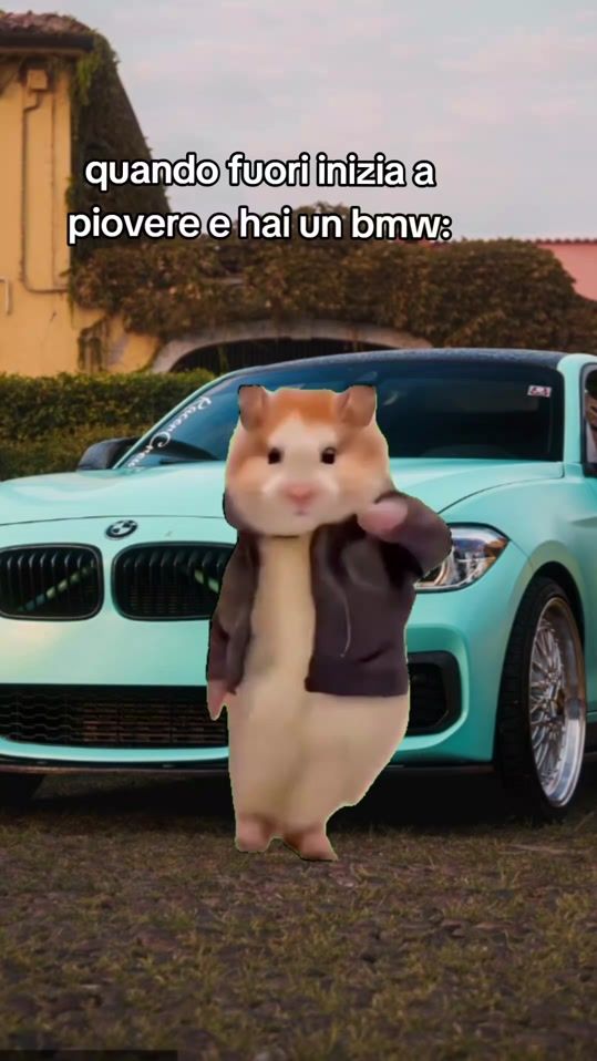 TikTok video thumbnail by imgalu