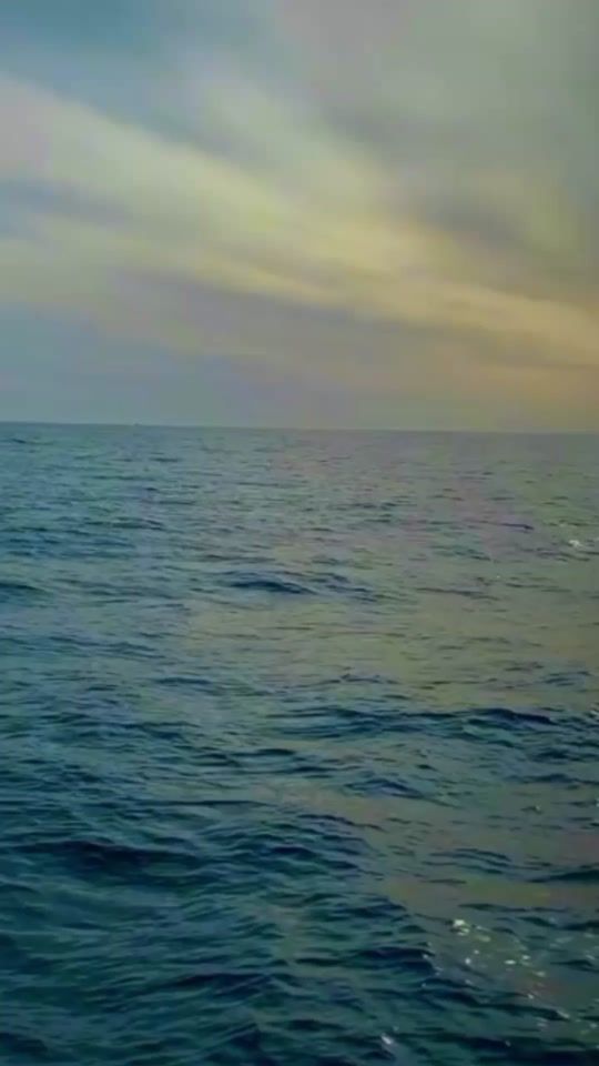 TikTok video thumbnail by haraga_tunisia