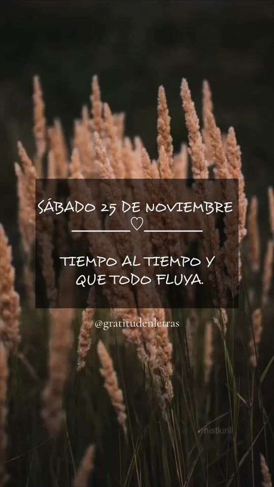 TikTok video thumbnail by gratitudenletras2