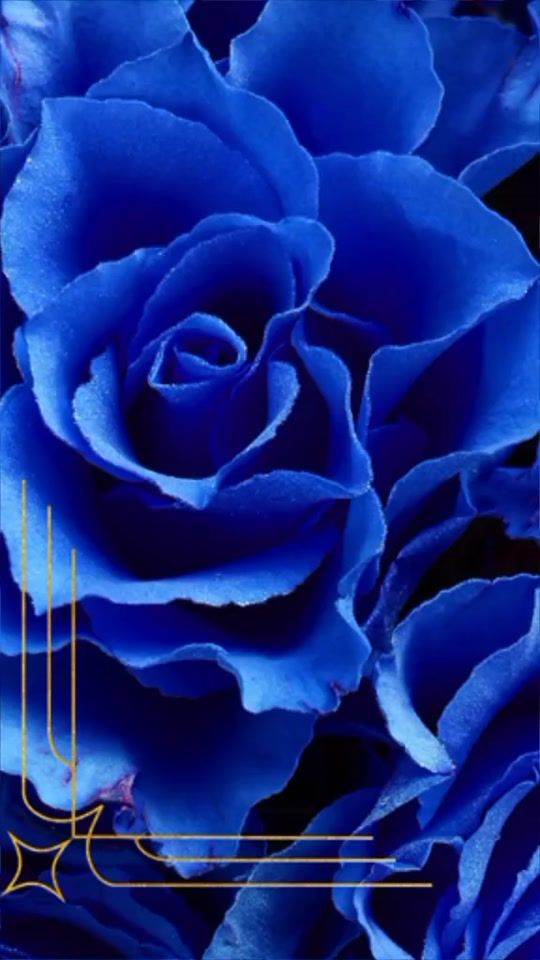 TikTok video thumbnail by rosaflqozix