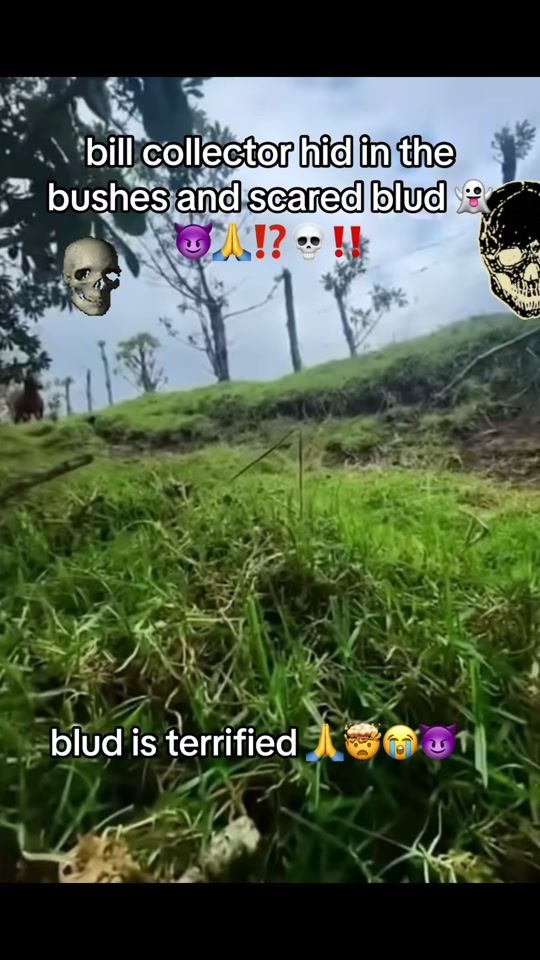 TikTok video thumbnail by shadowmainer228