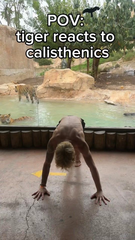 TikTok video thumbnail by loms_calisthenics