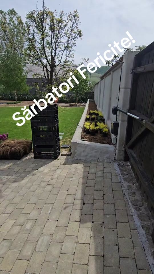 TikTok video thumbnail by gradinicluj