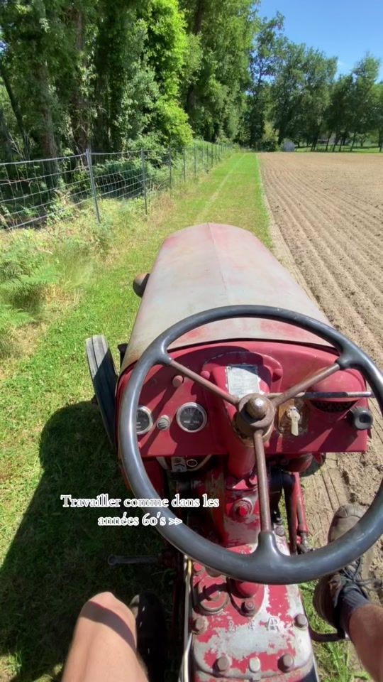 TikTok video thumbnail by dioz_agri