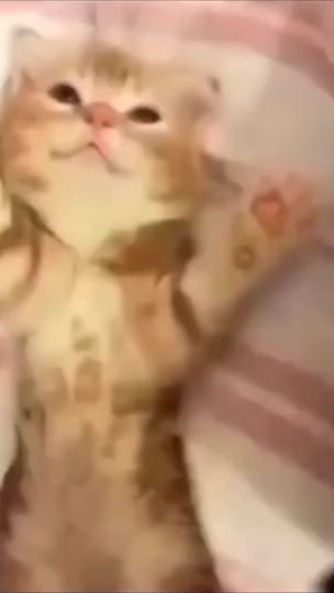 TikTok video thumbnail by ivscav