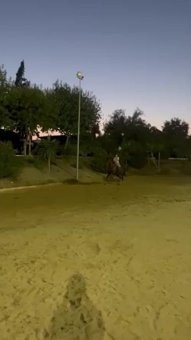 TikTok video thumbnail by juanfeholgadocuesta