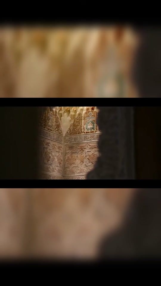 TikTok video thumbnail by davidolgoso