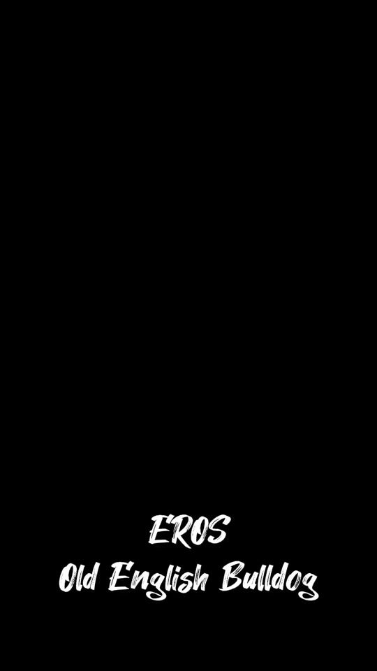 TikTok video thumbnail by teamswissfarm.twitch