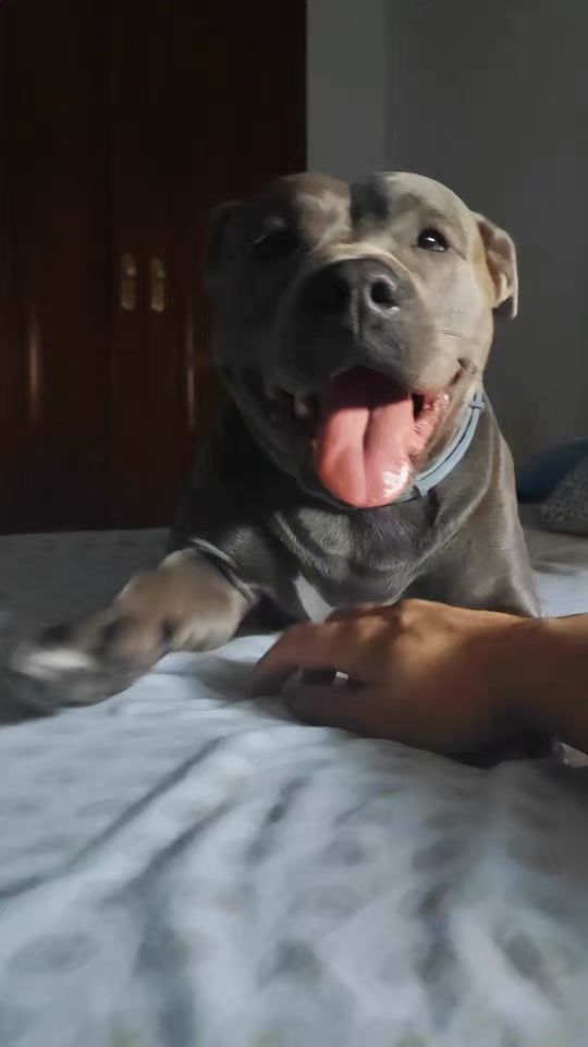 TikTok video thumbnail by nalalamala7