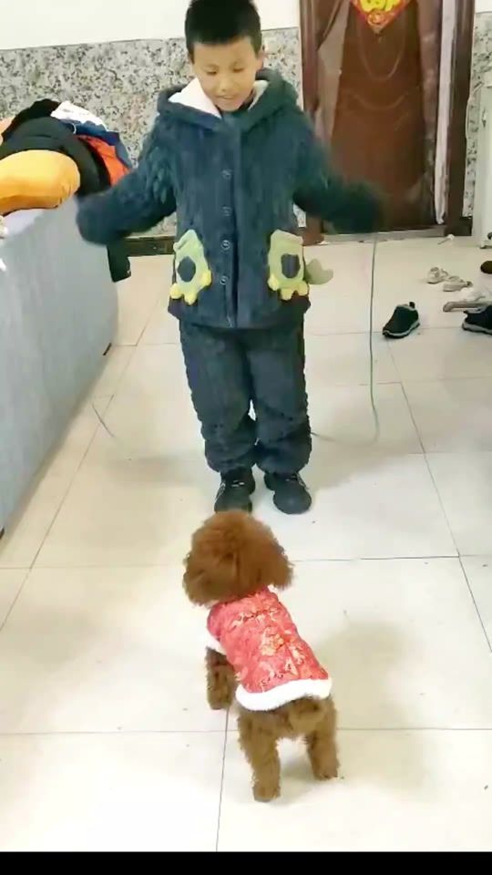 TikTok video thumbnail by dogcute_01