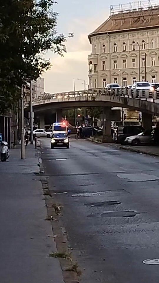 TikTok video thumbnail by bluelightshungary