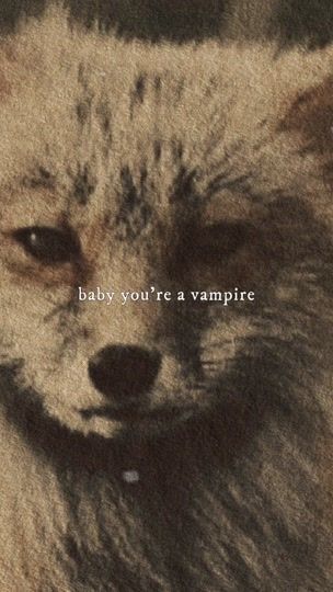 TikTok video thumbnail by vqlkiri