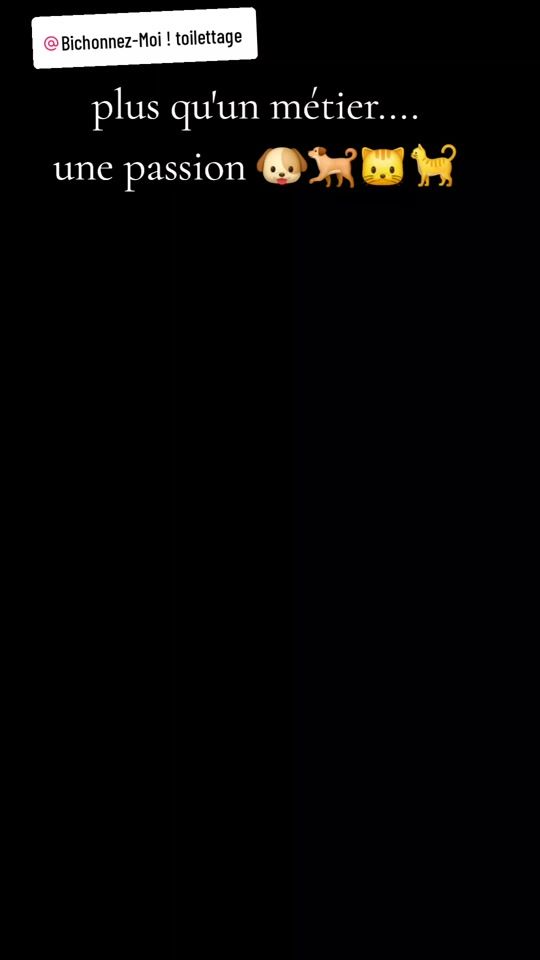 TikTok video thumbnail by bichonnezmoitoilettage