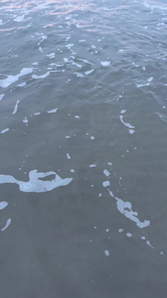 TikTok video thumbnail by xfrankielynch