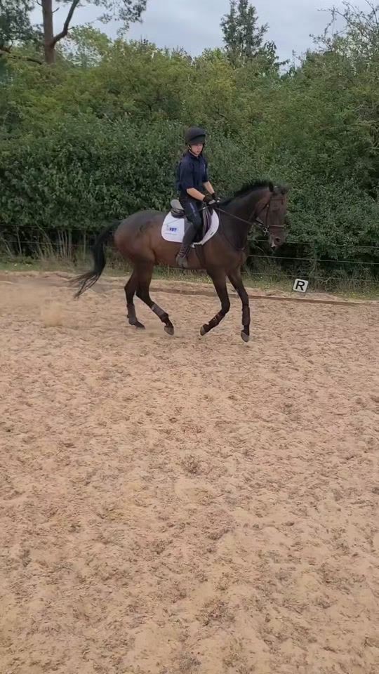 TikTok video thumbnail by bunny.eventing