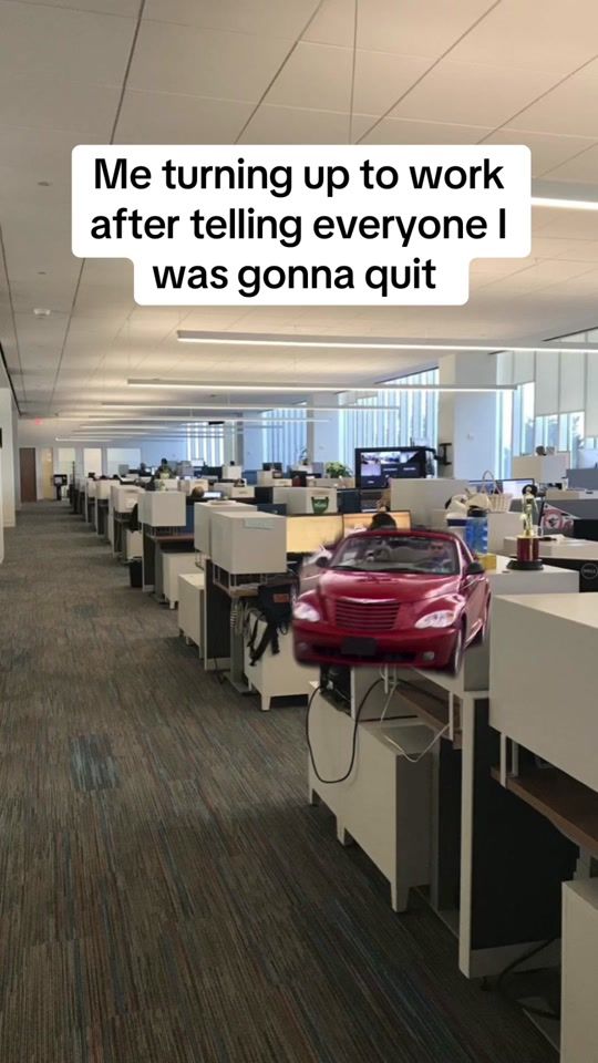 TikTok video thumbnail by .wmfl