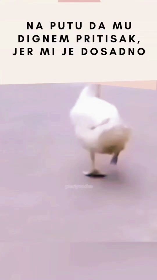 TikTok video thumbnail by mea.2157