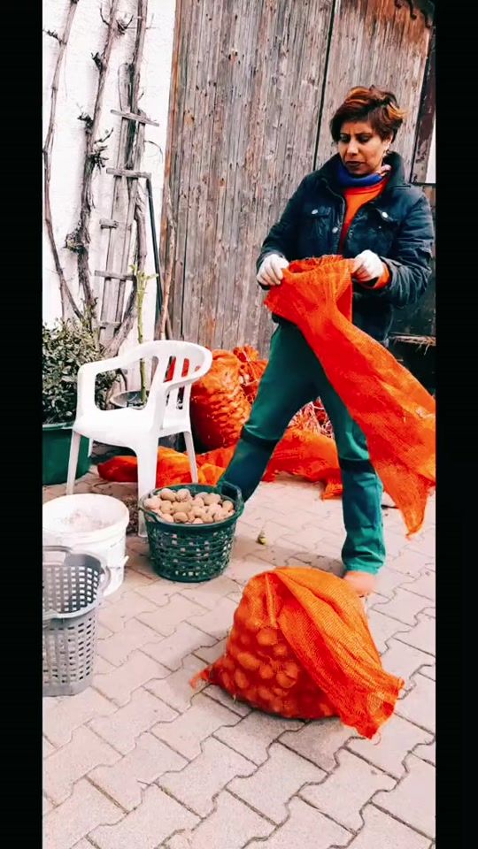 TikTok video thumbnail by petersapna